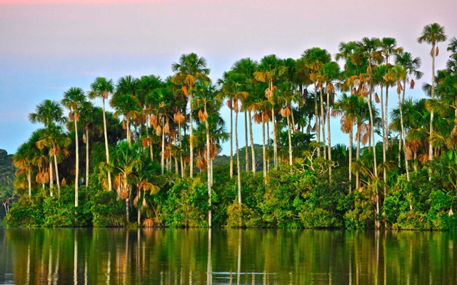 Reserva Nacional de Tambopata