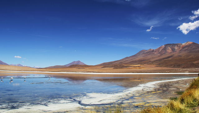  Laguna Cañapa un inolvidable lugar a conocer en tu visita a Bolivia