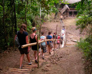 Caminata en Manu