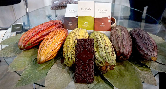 cacao-chocolate-peru