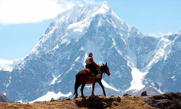 camino-ausangate-caballo
