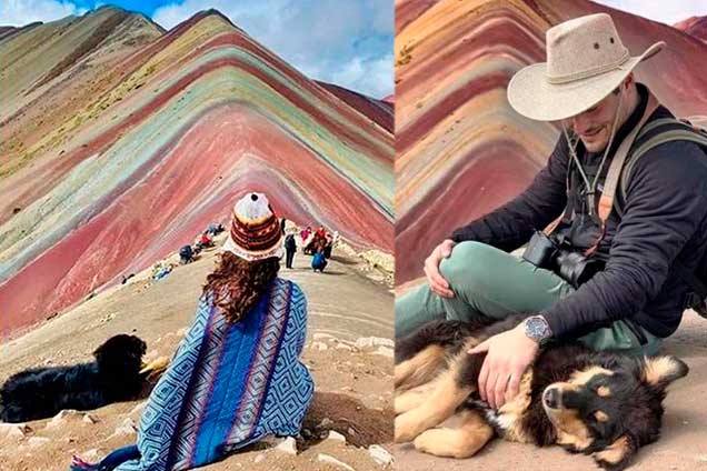 vinicunca-canino