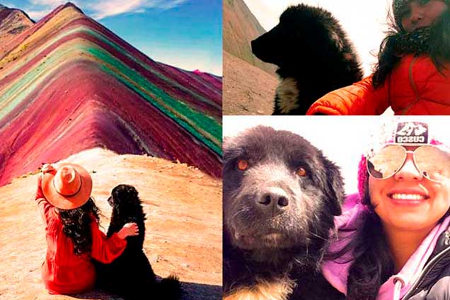 vinicunca-doc-canino