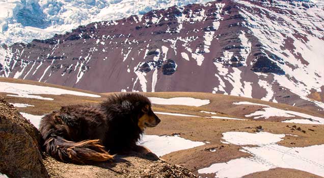 vinicunca-nevado-canino