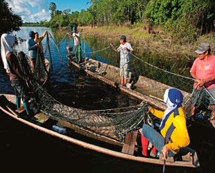 Pesca en Pacaya Samiria