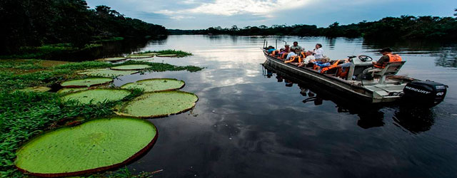 La Naturaleza Amazónica