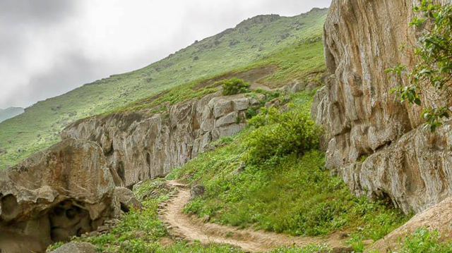 Lomas de Lúcumo un divertido atractivo en Lima, lleno de naturaleza