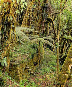 ruta de camino inca