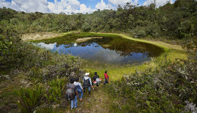  El bosque de Sho’llet o Scho’llet, un paraíso en la selva de Oxapampa