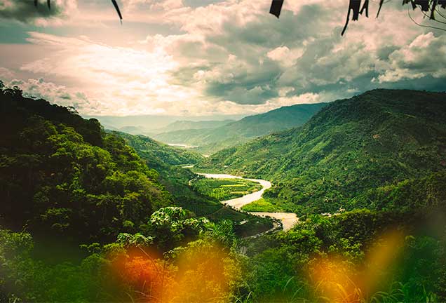 selva-peruana-peru-mejor-destino