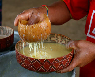 Bebida típica de Ucayali Bebida típica de Ucayali