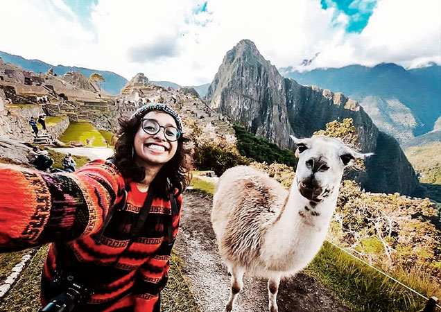 machupicchu-llama