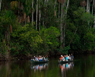 Rio del Manu