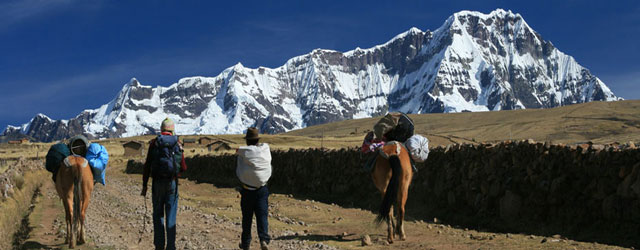 Camino a Salkantay Camino a Salkantay