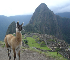 Machu Picchu