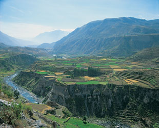 Cañón del Colca