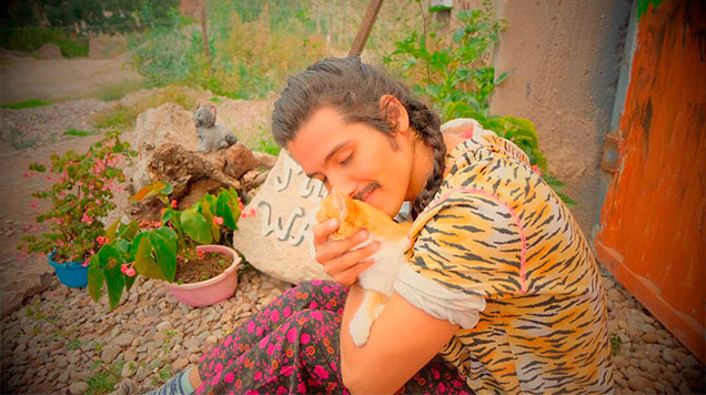 mishi-wasi
