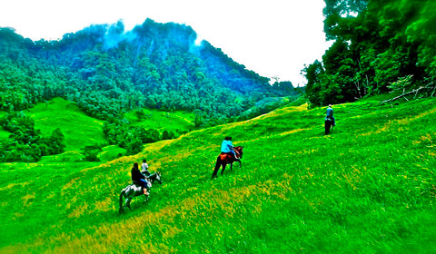 El valle de Quindío 