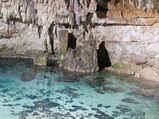 Cobá