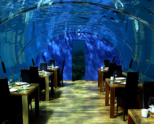 Conrad Maldives Hote Conrad Maldives Hote