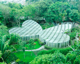 El valle de Quindío 