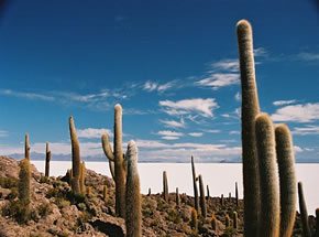 Uyuni Bolivia