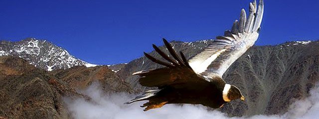 Cañon del Colca