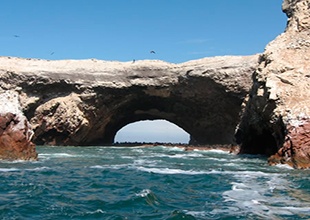 Ilhas Ballestas - Paracas