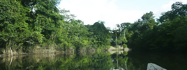 Rio Yarapa Selva Peruana